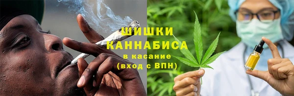 ПСИЛОЦИБИНОВЫЕ ГРИБЫ Инсар