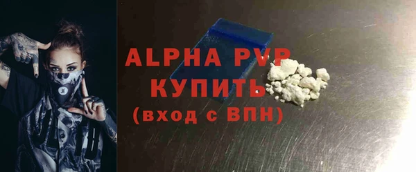 гидра Надым