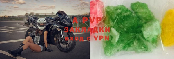 гидра Надым