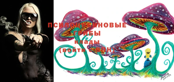 крисы Наволоки