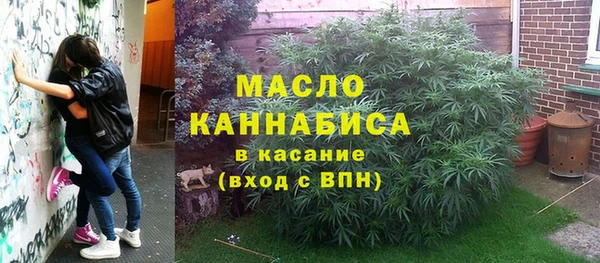 ПСИЛОЦИБИНОВЫЕ ГРИБЫ Инсар